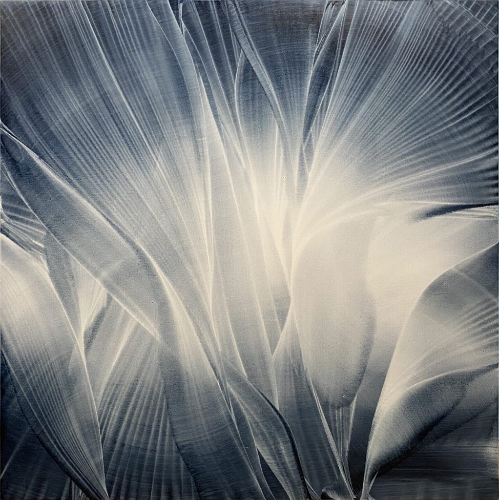 Art: Meditation on Form 12.29.21