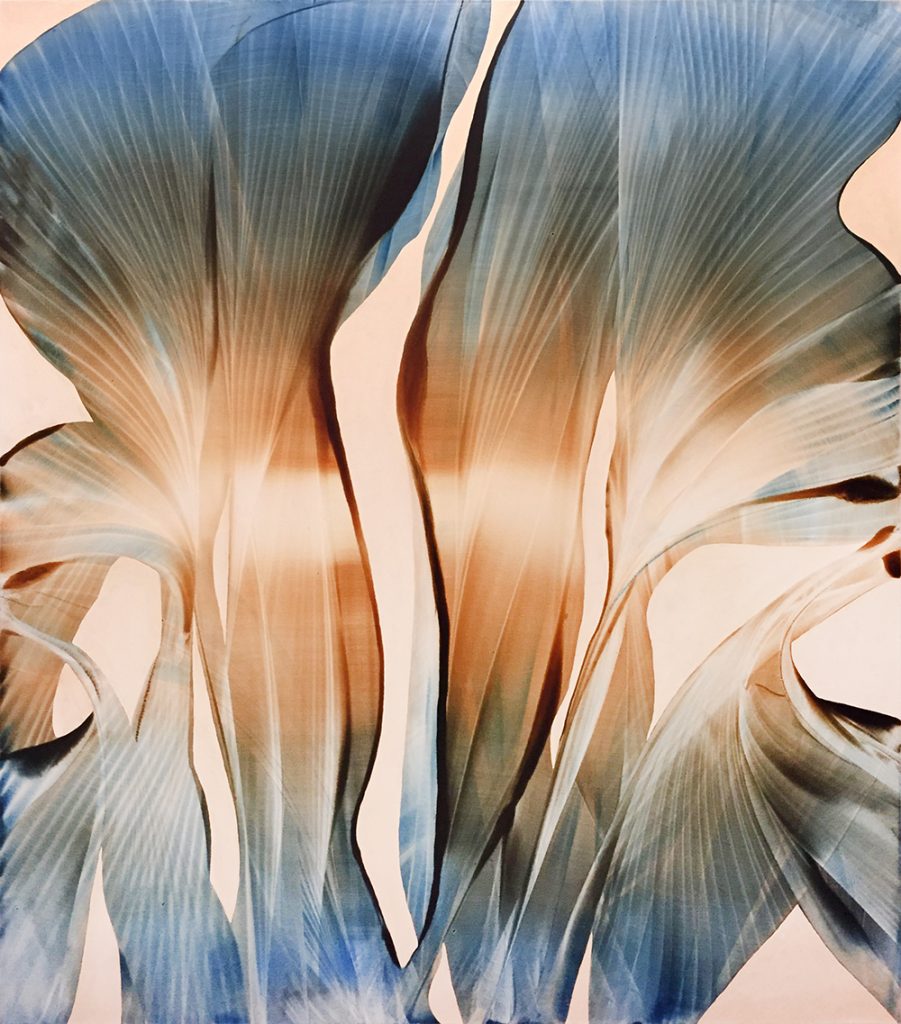 Art: FLORUS EXPLICEMUS